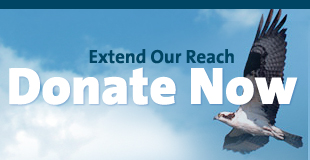 Donate